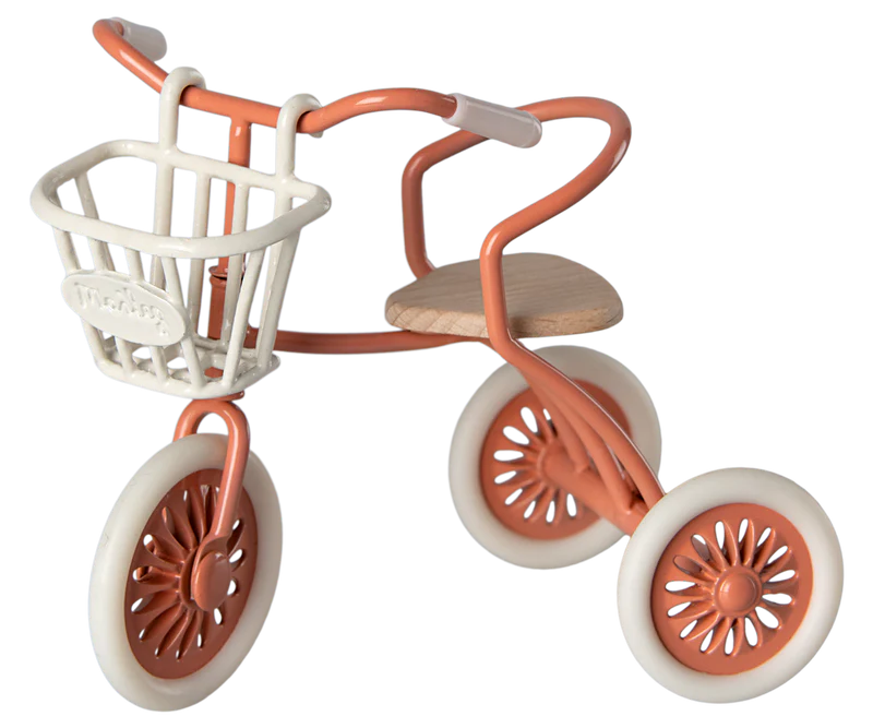 Tricycle Basket