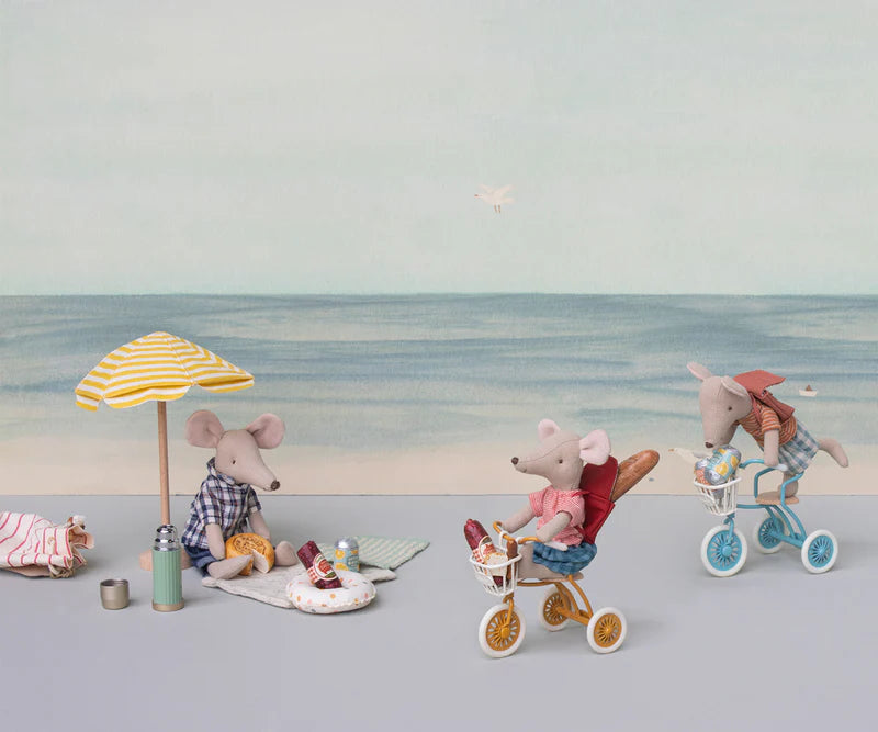 Tricycle Basket