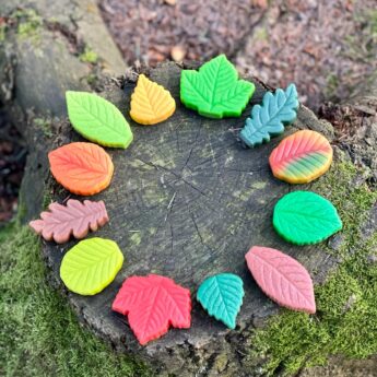Sensory Play Stones Leaves