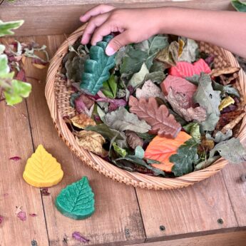 Sensory Play Stones Leaves