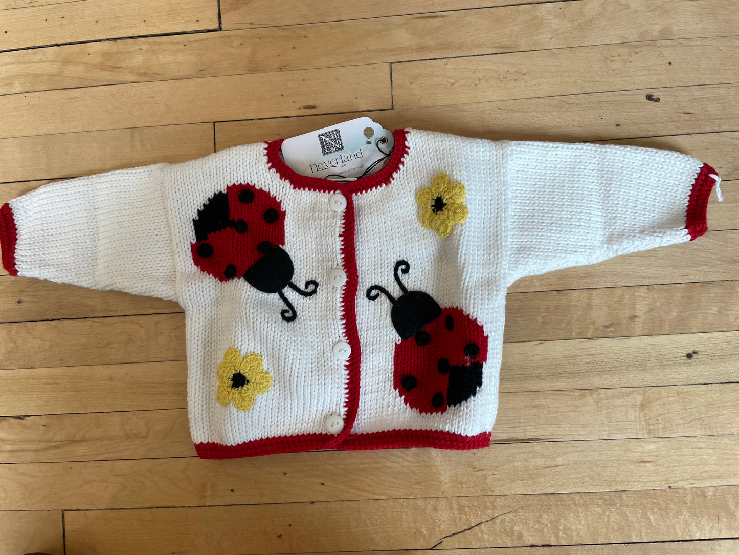 Lady Bugs and Daisies Knit Sweater