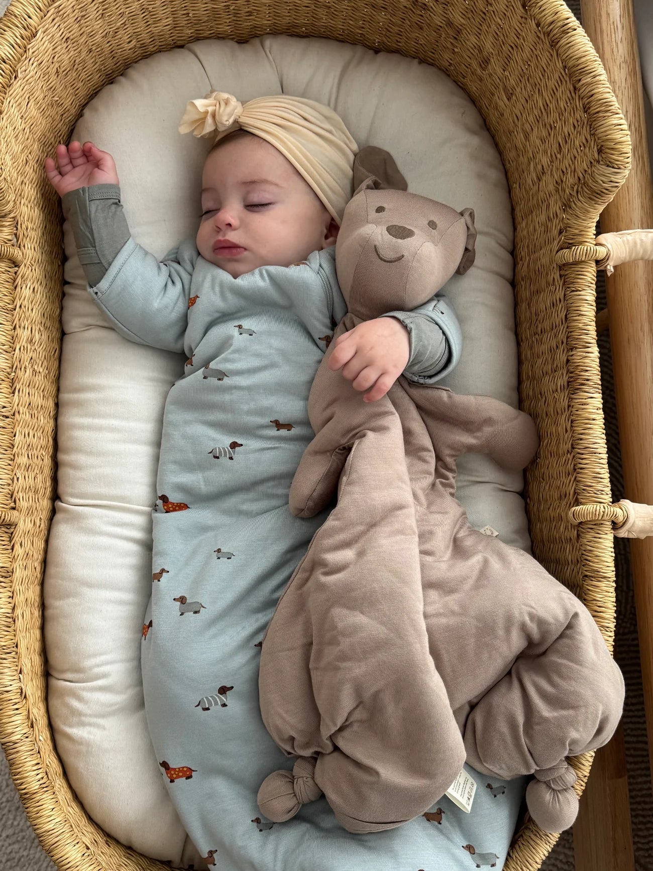 Transitional Swaddle