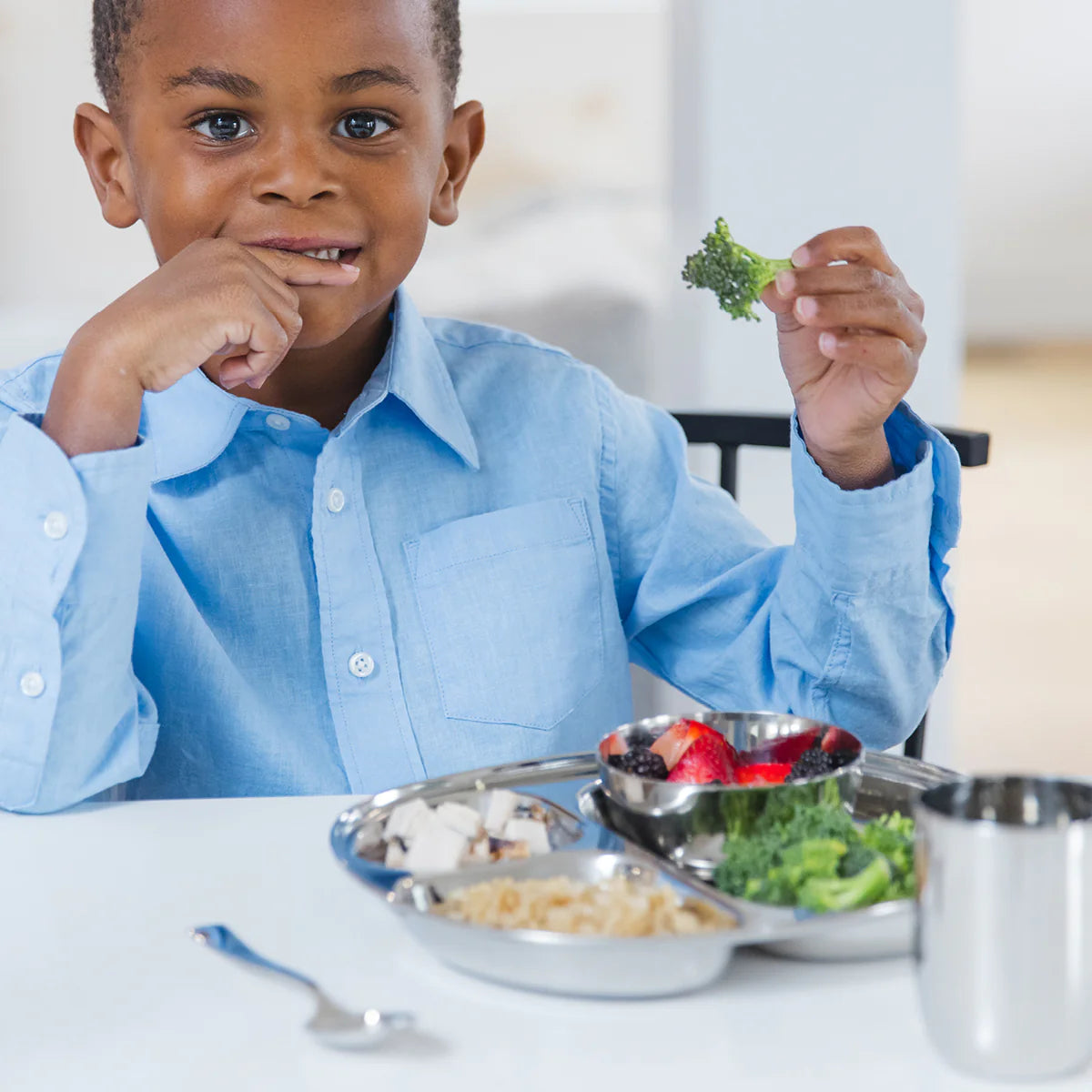 Ahimsa Balanced Bites Compartment Plates