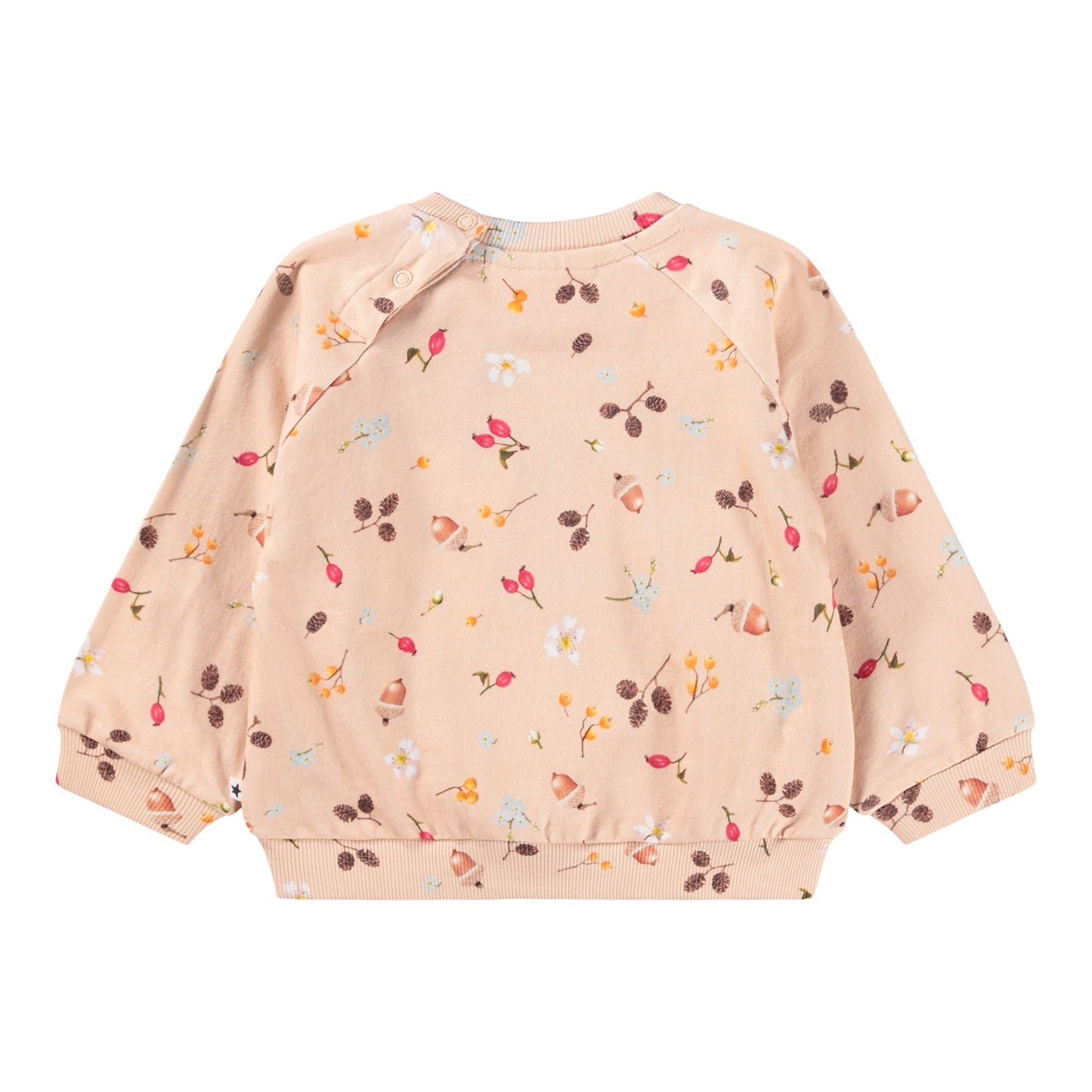 Disc Foraging Rose Sweatshirt