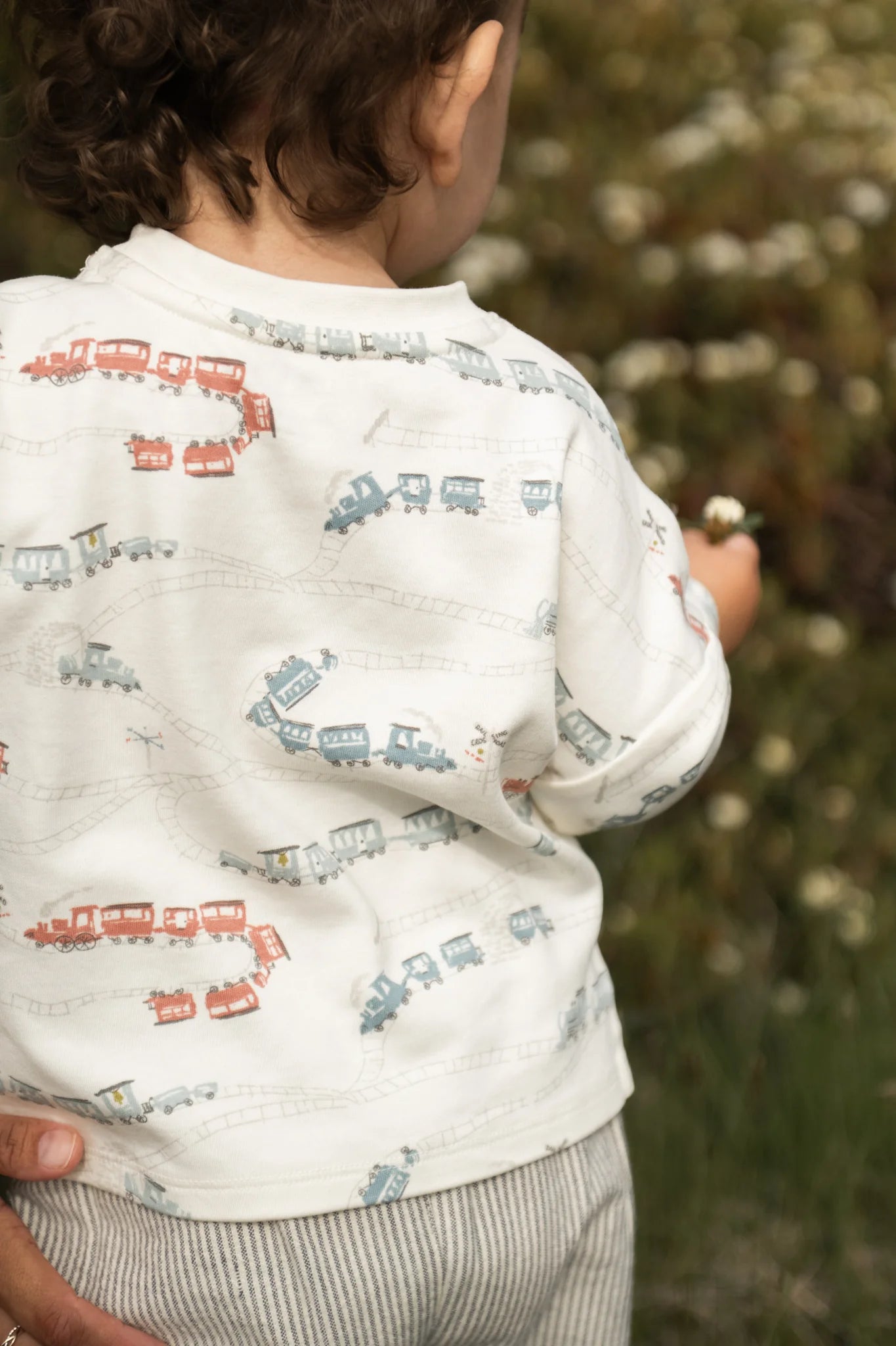 Locomotive LS Top