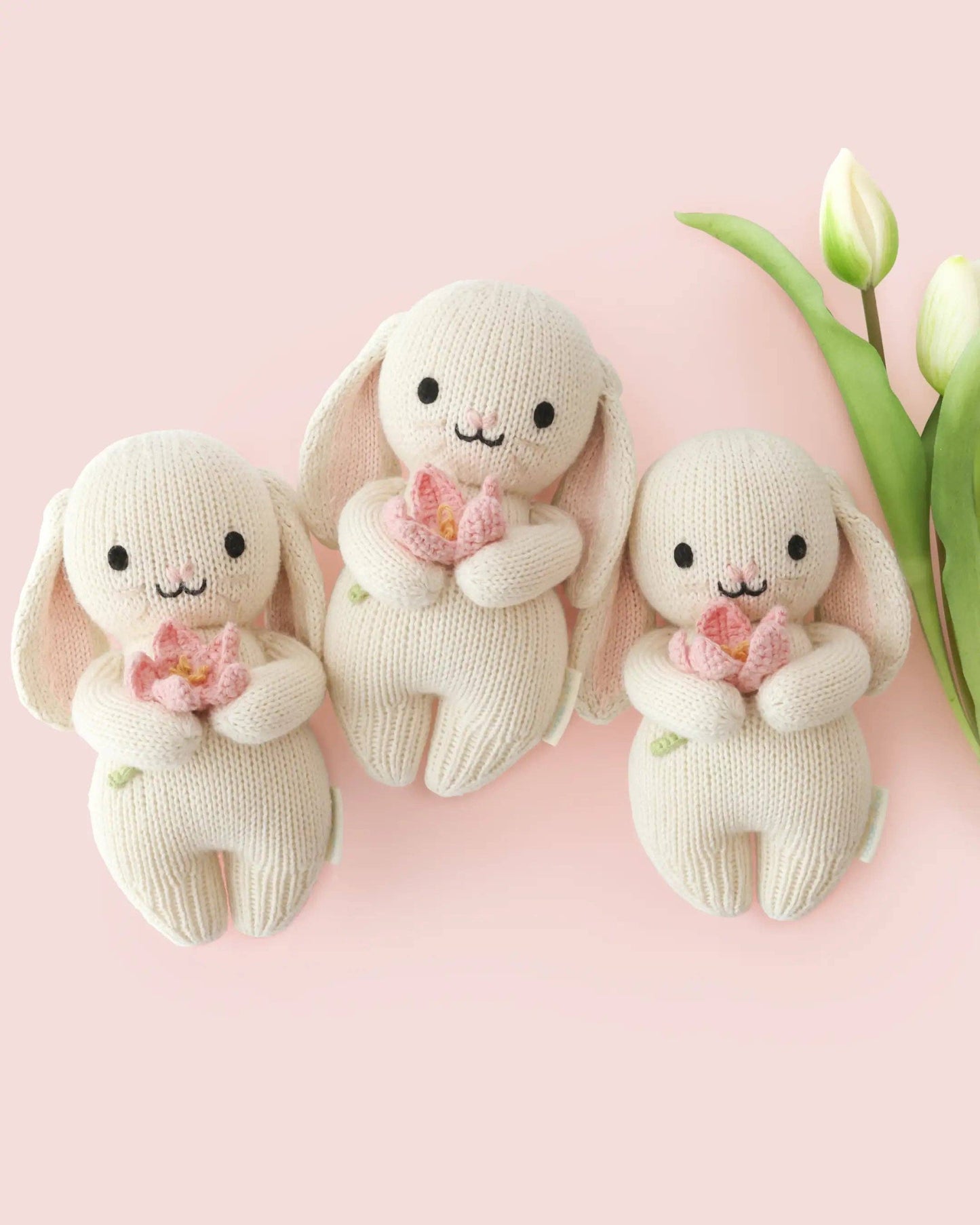 Baby Bunny (tulip)