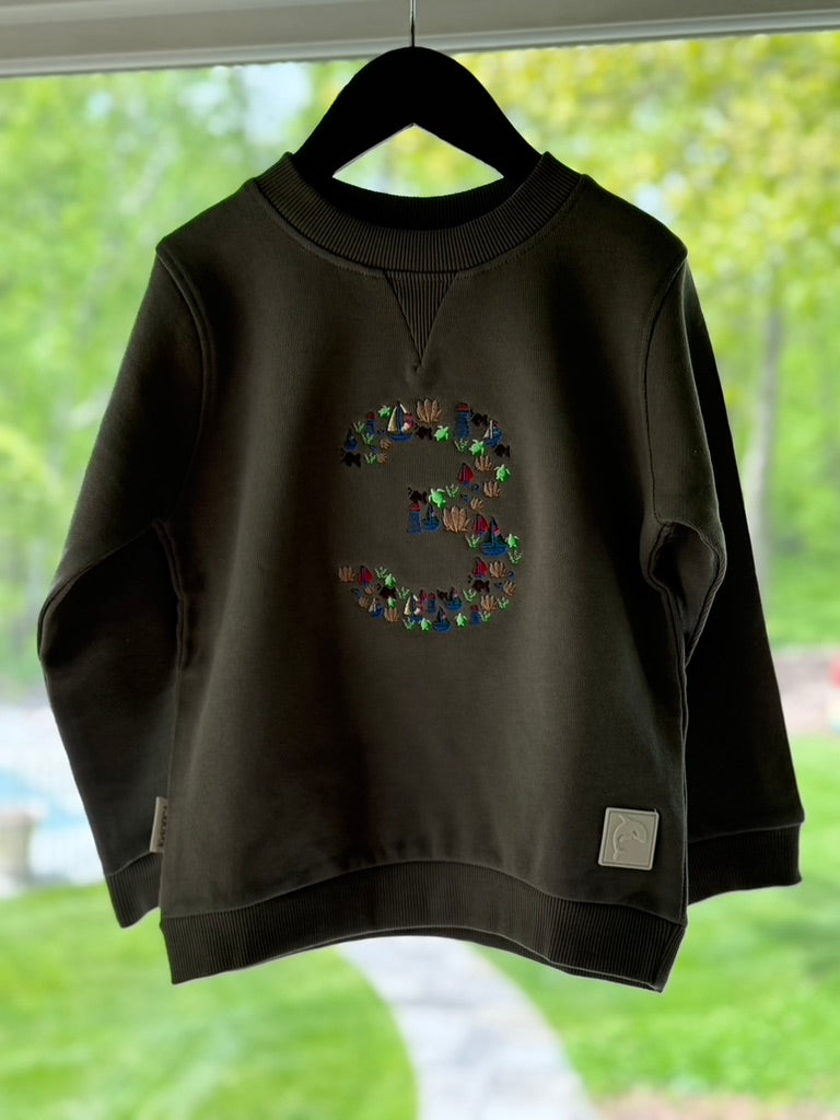 Nautical Themed "3" Sweatshirts