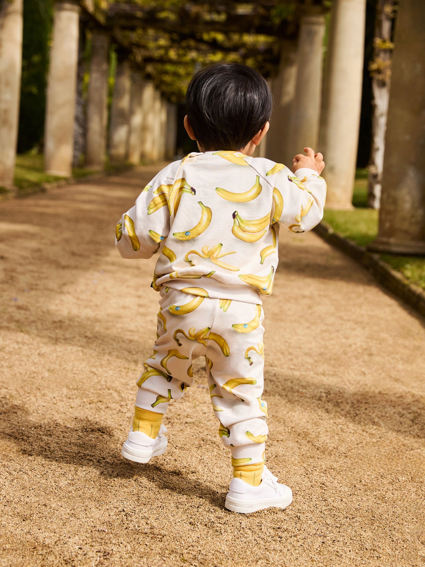 Disc Babynanas Sweatshirt