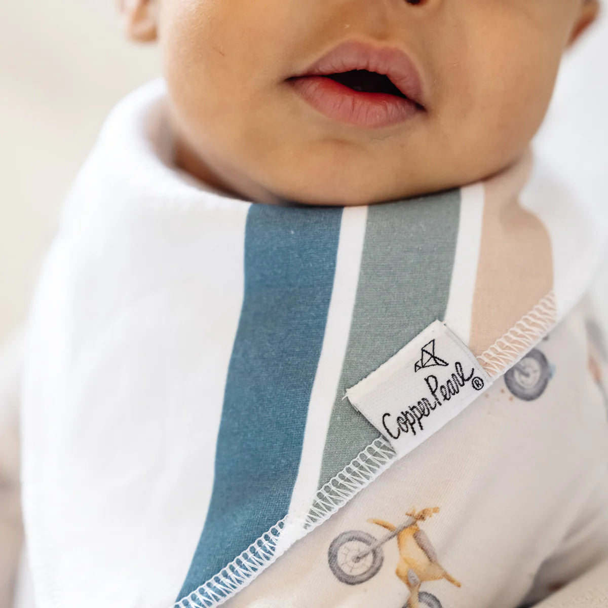 Ryder Bandana Bib Set