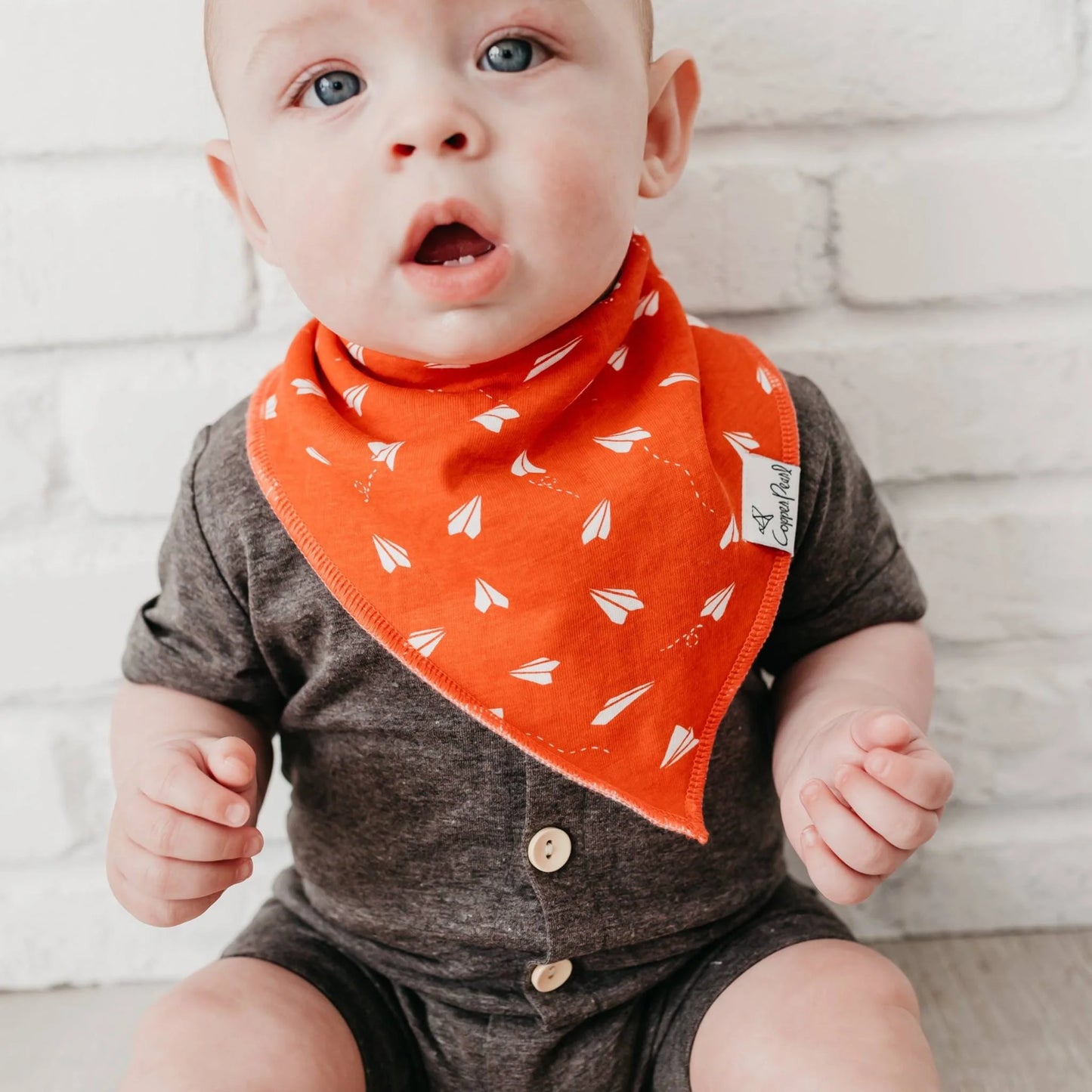 Ace Baby Bandana Bib (4 Pack)