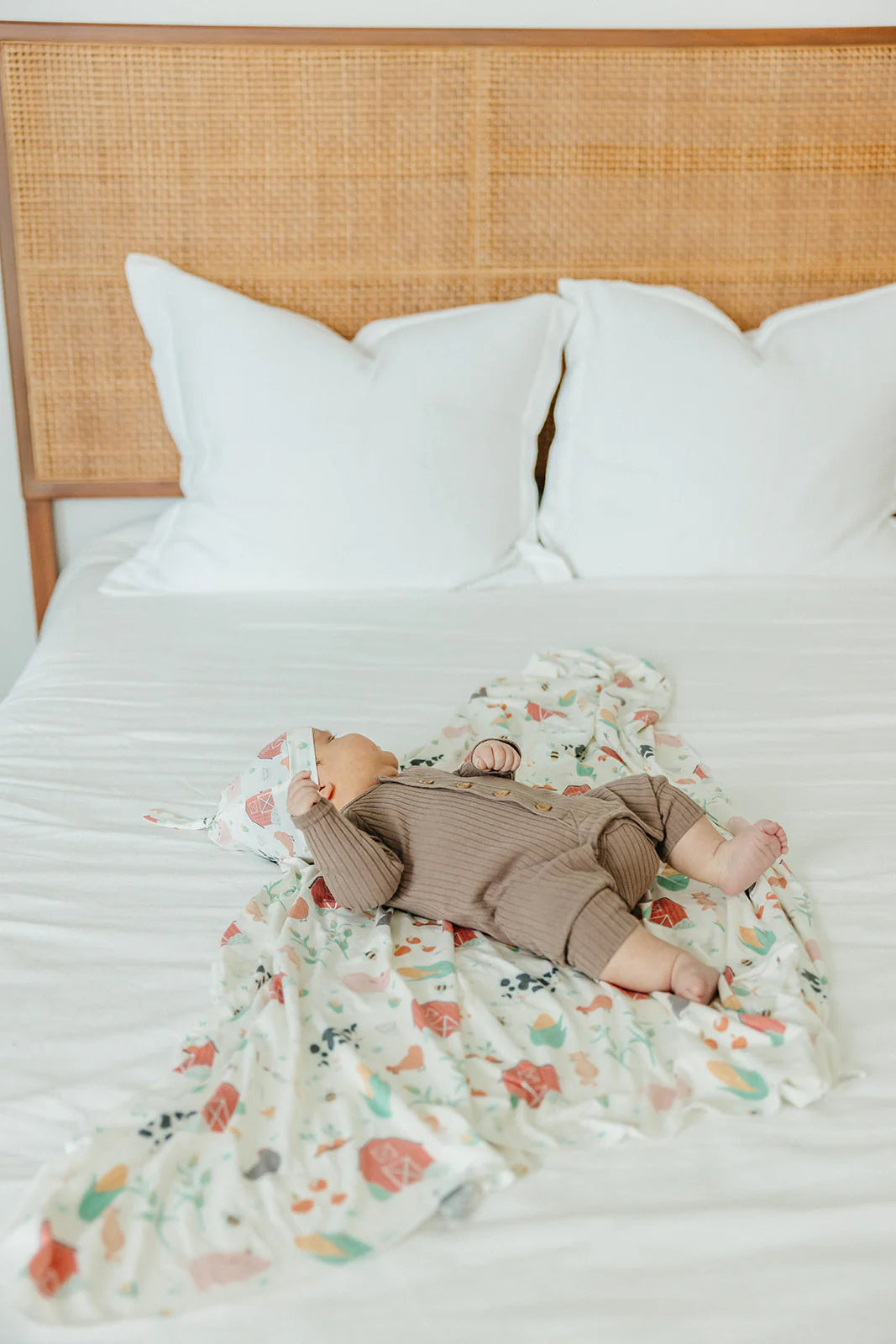 Farmstead Single Knit Blanket