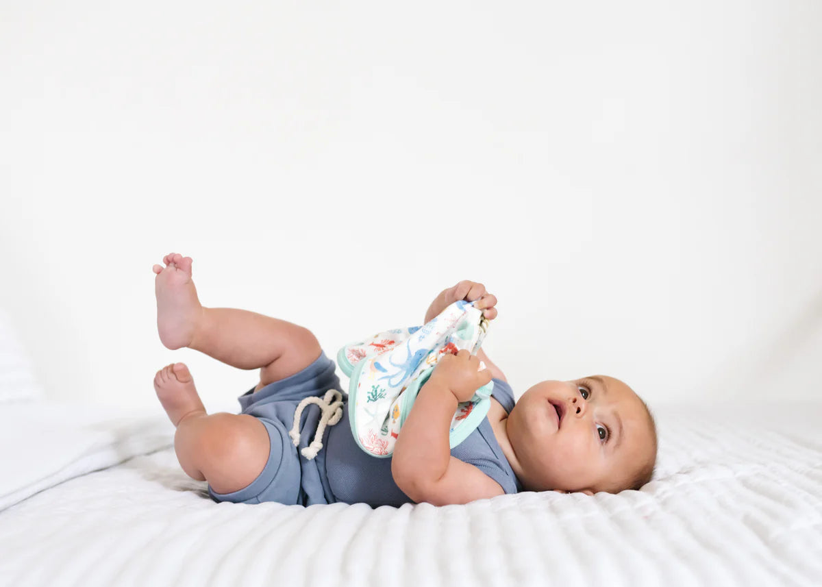 Nautical 3-Layer Lovey Set
