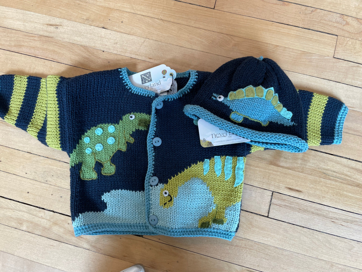 Land of the Lost Knit Hat