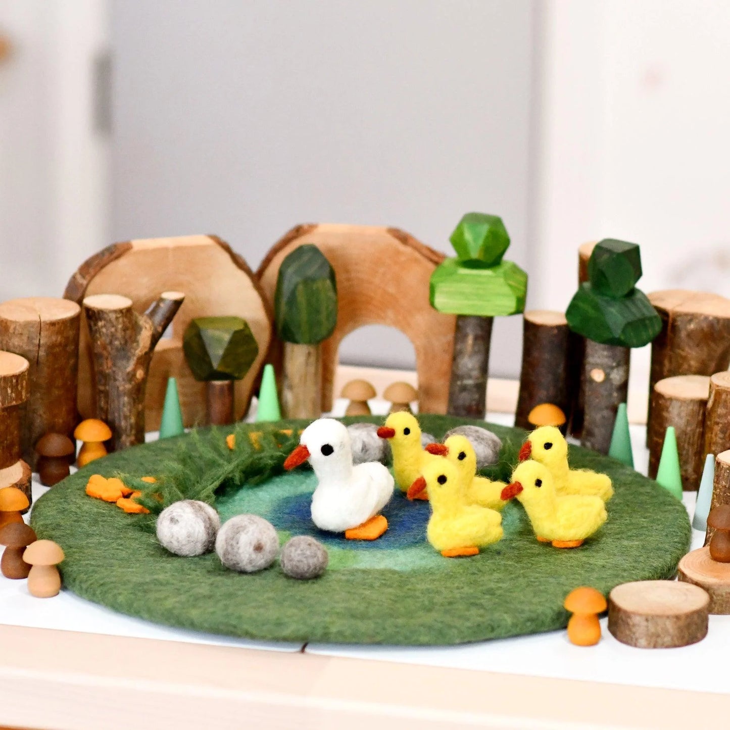 Pond with Ducks Play Mat