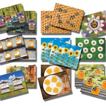 Honey Bee Number Cards