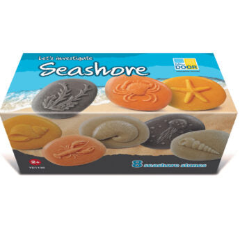 Let’s Investigate - Seashore