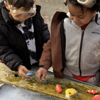 Sensory Play Stones - Fish