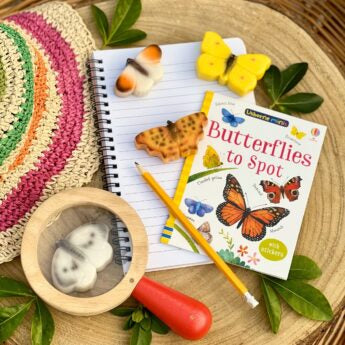 Sensory Stones - Butterflies