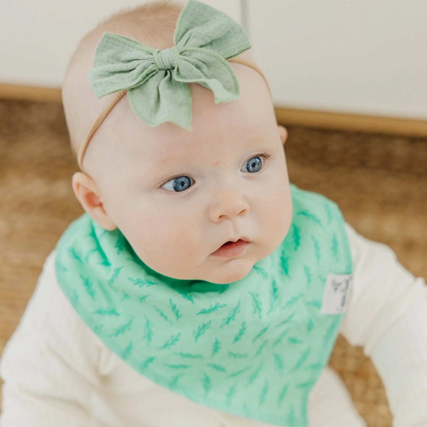 Birdie Bandana Bibs