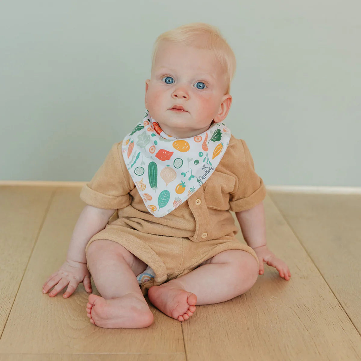 Veggies Bandana Bib Set