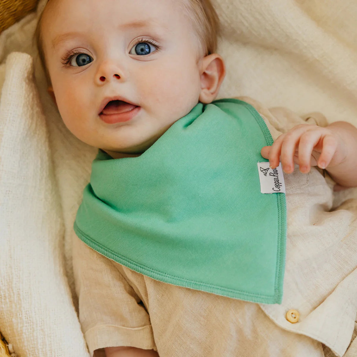 Veggies Bandana Bib Set