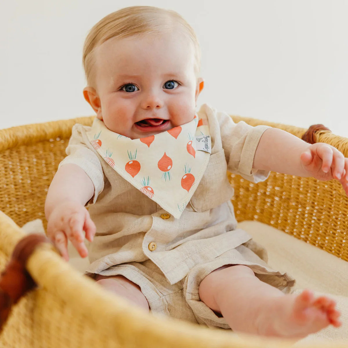 Veggies Bandana Bib Set