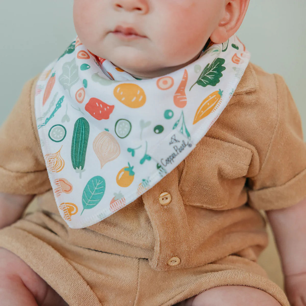 Veggies Bandana Bib Set