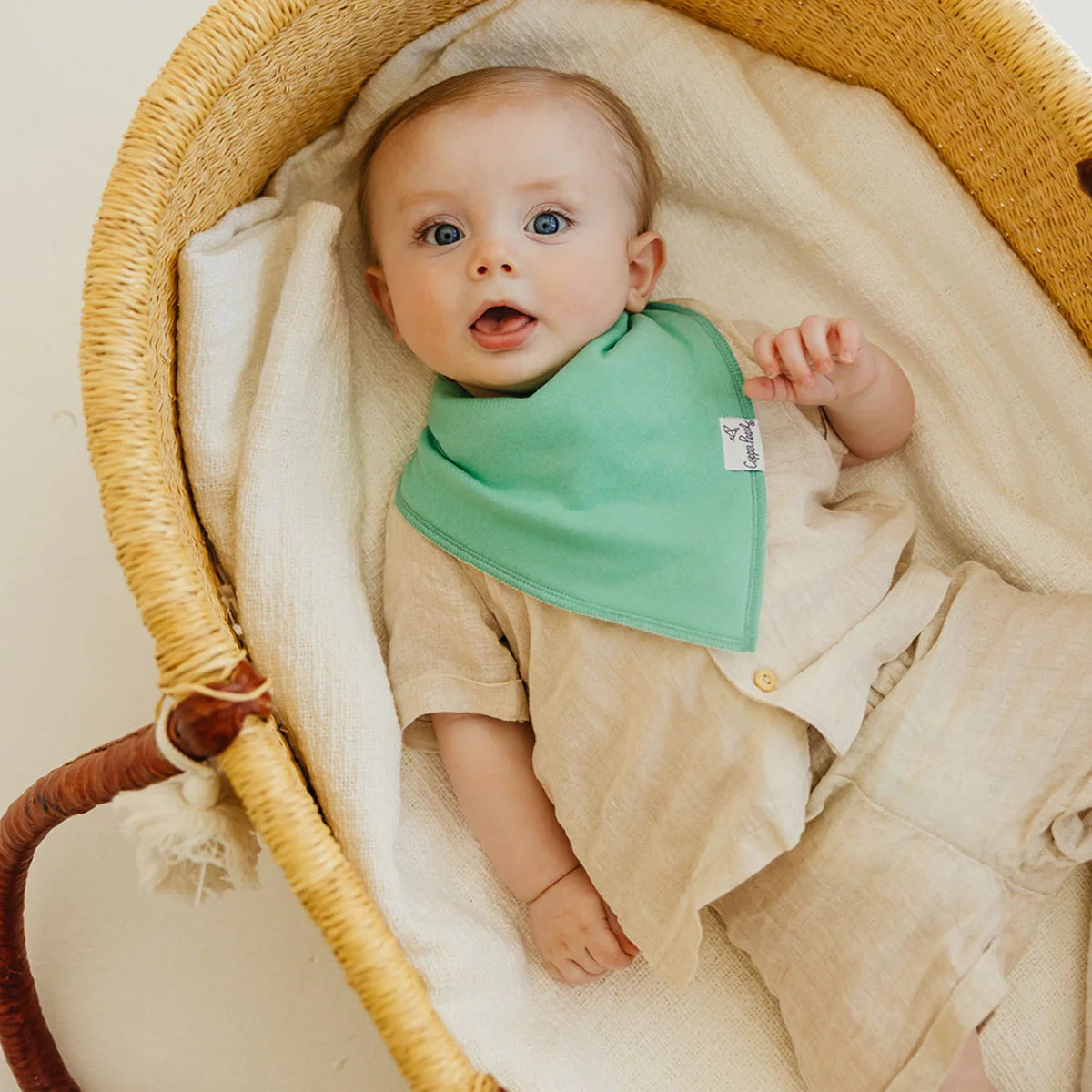 Veggies Bandana Bib Set