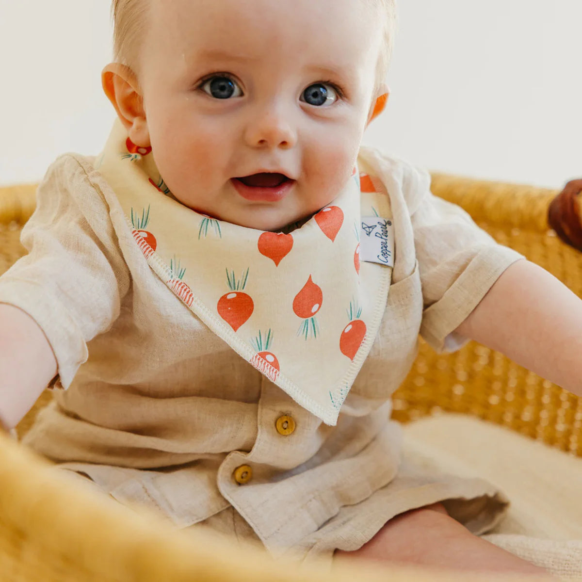Veggies Bandana Bib Set