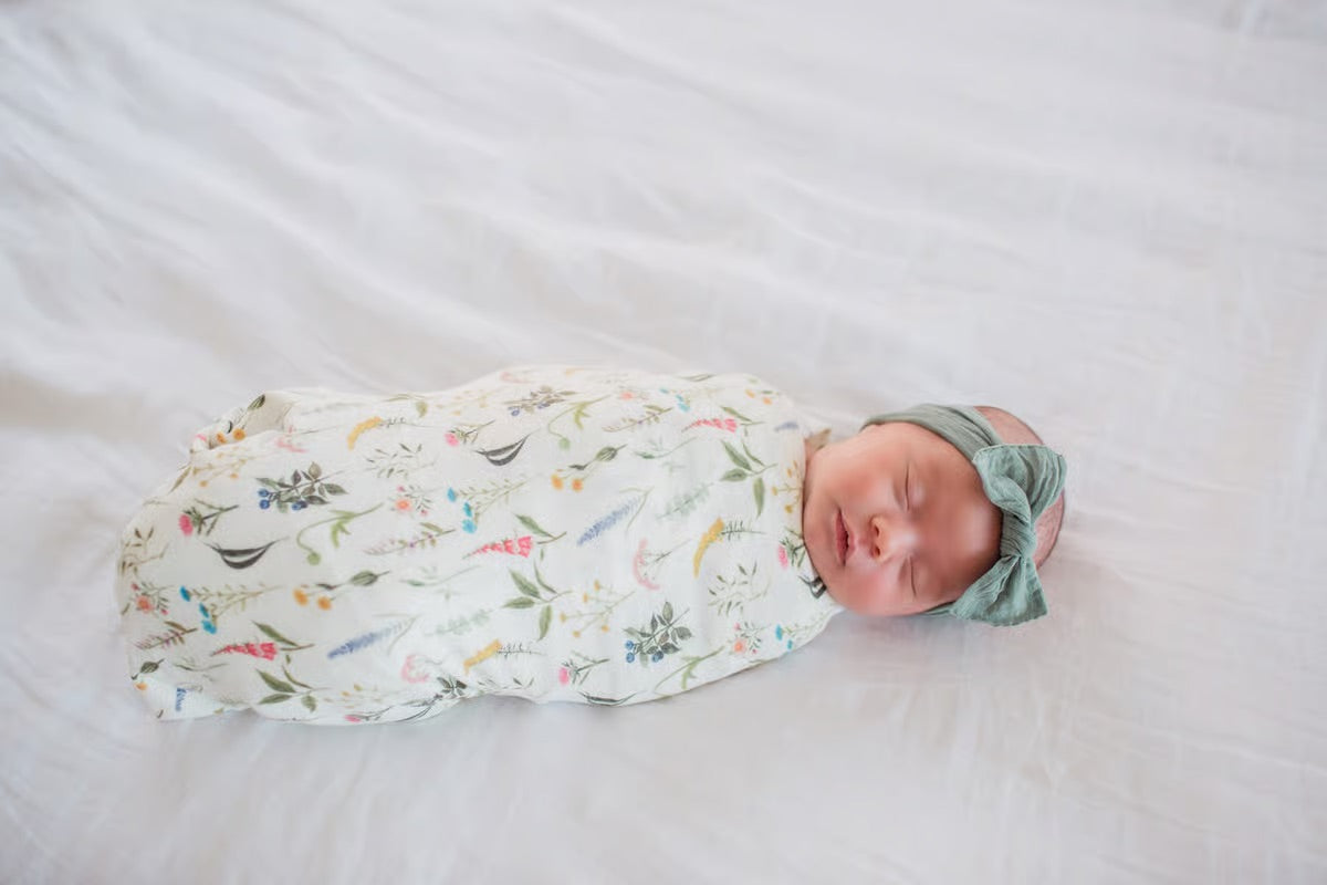 Aspen Single Knit Blanket