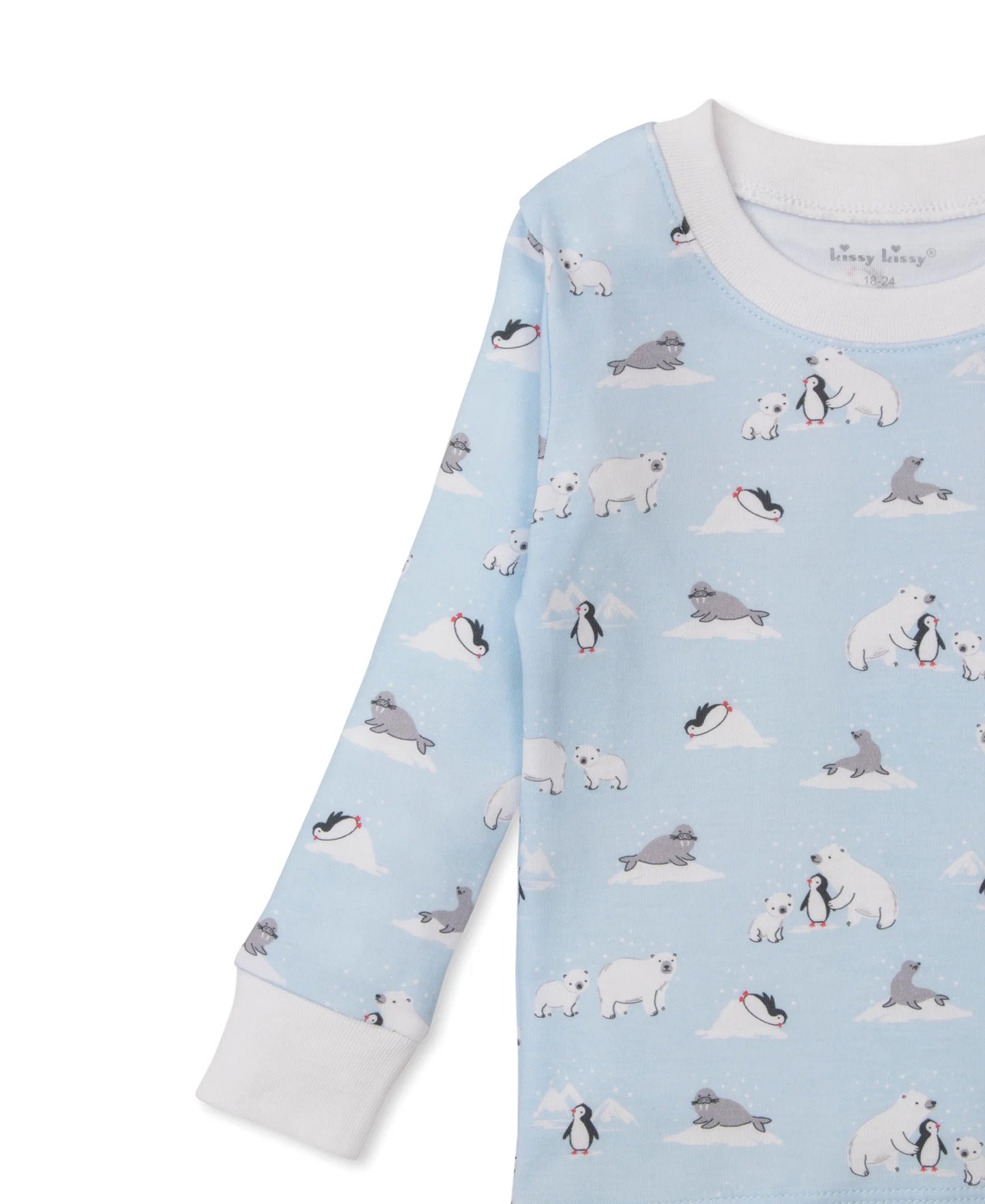 Arctic Awe Pajama Set
