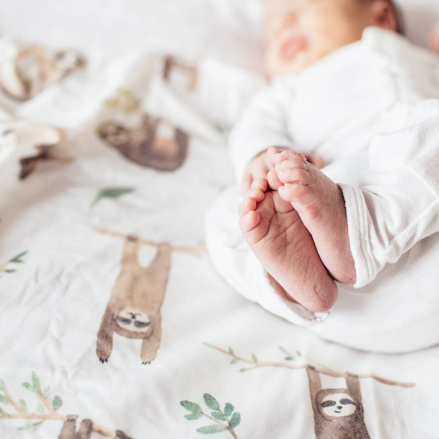 Noah Single Knit Blanket