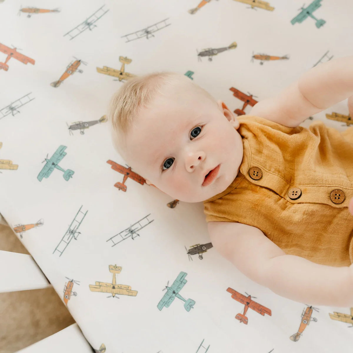 Ace Premium Crib Sheet