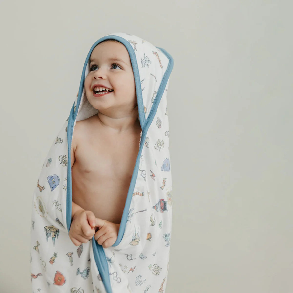 Wizarding World Hooded Towel
