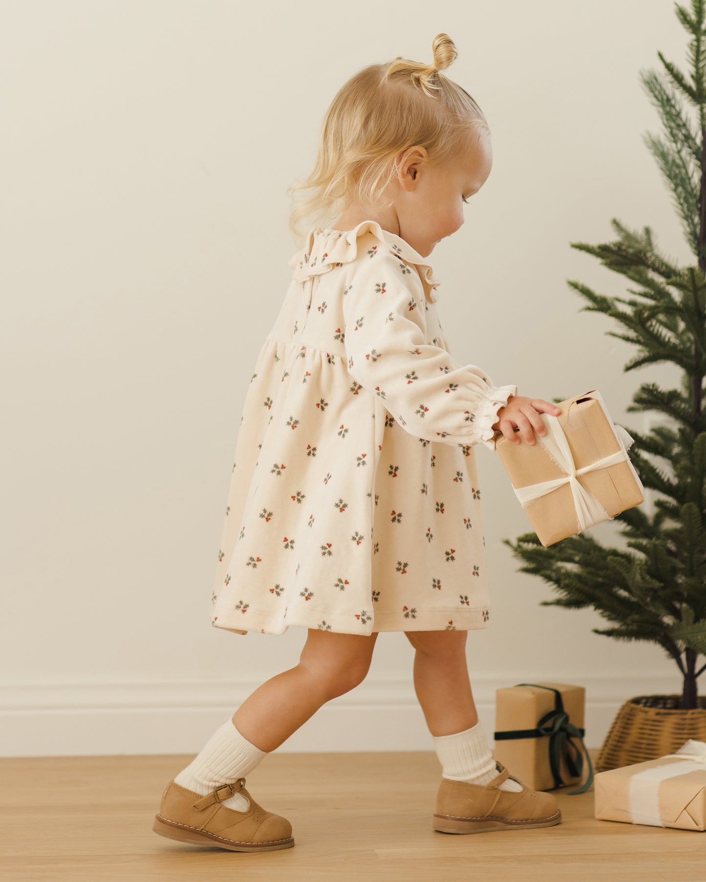 Velour Holly Berry Dress