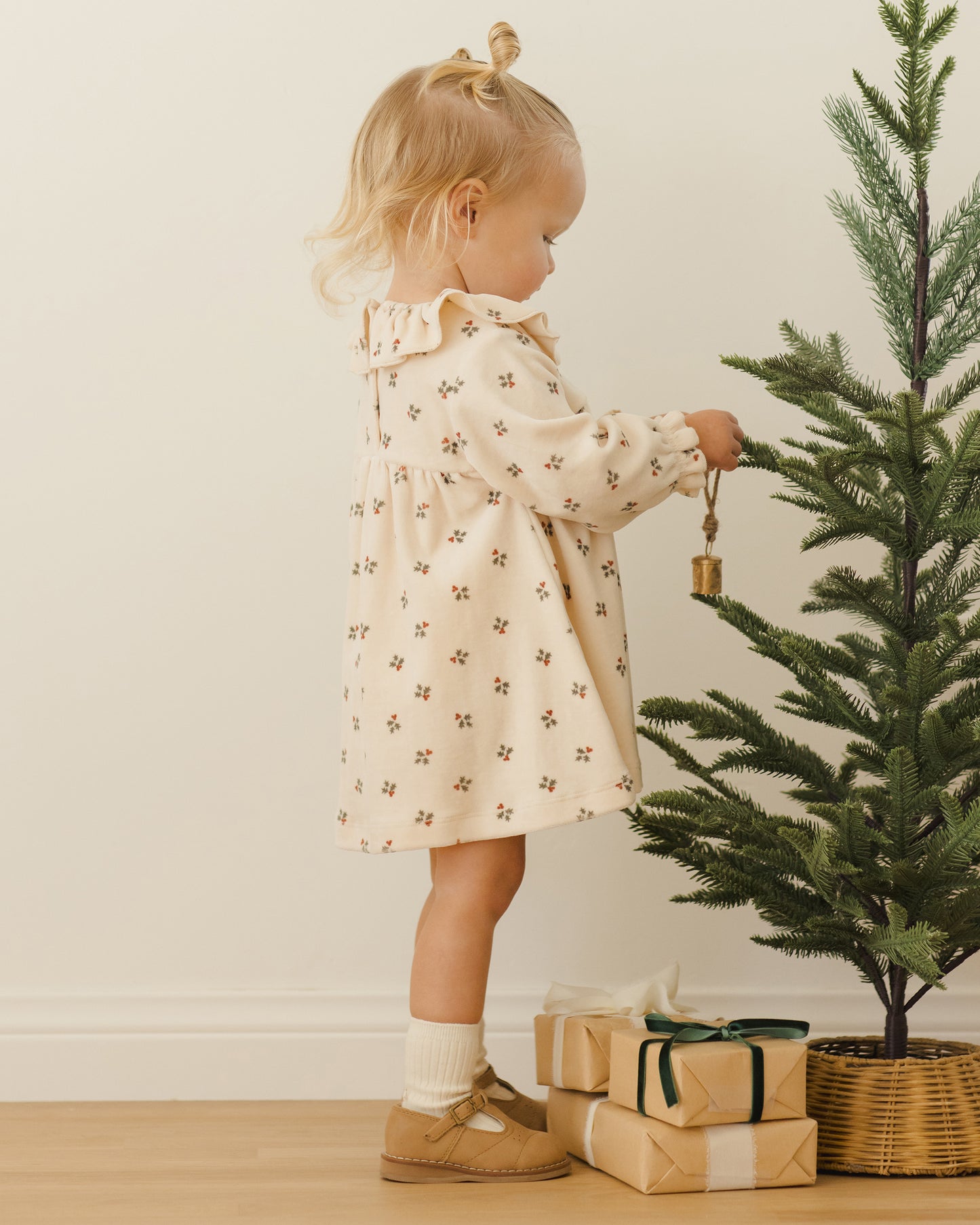 Velour Holly Berry Dress