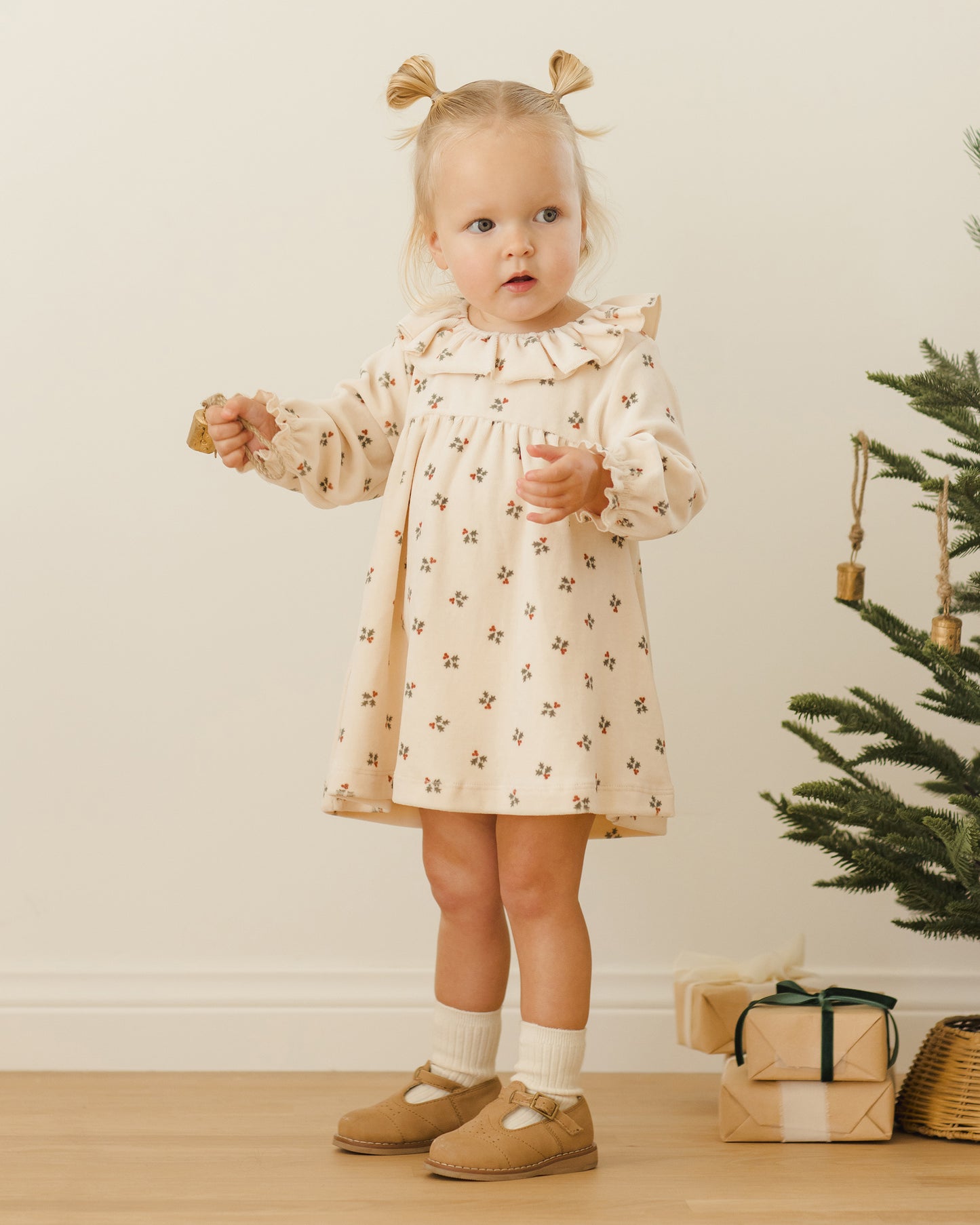 Velour Holly Berry Dress