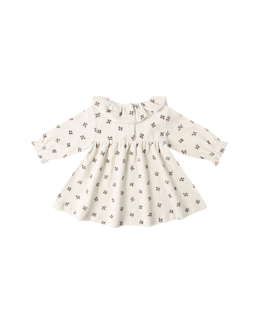 Velour Holly Berry Dress