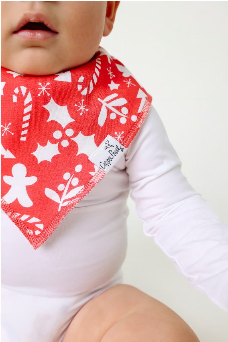 Jolly Bandana Bib Set
