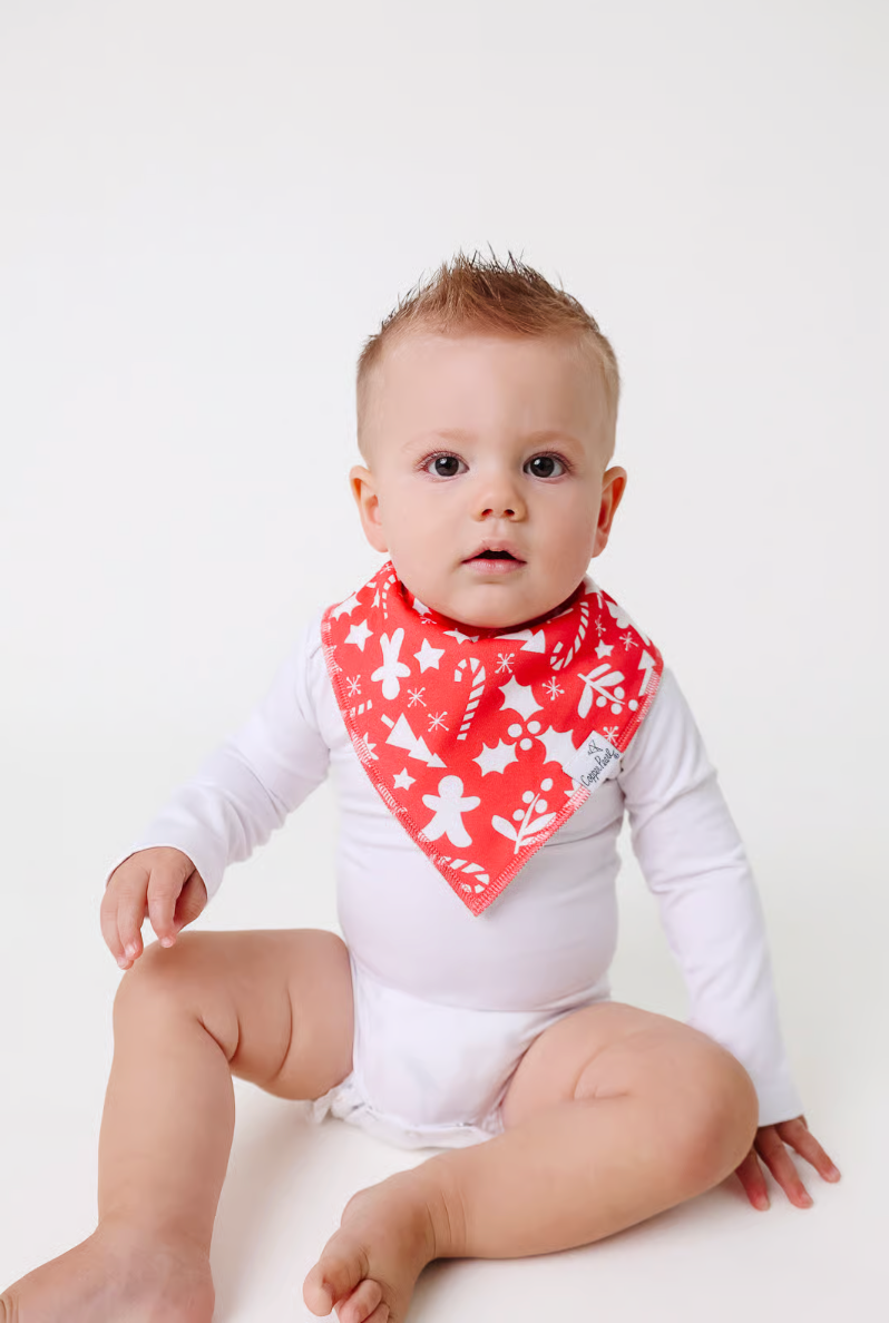 Jolly Bandana Bib Set