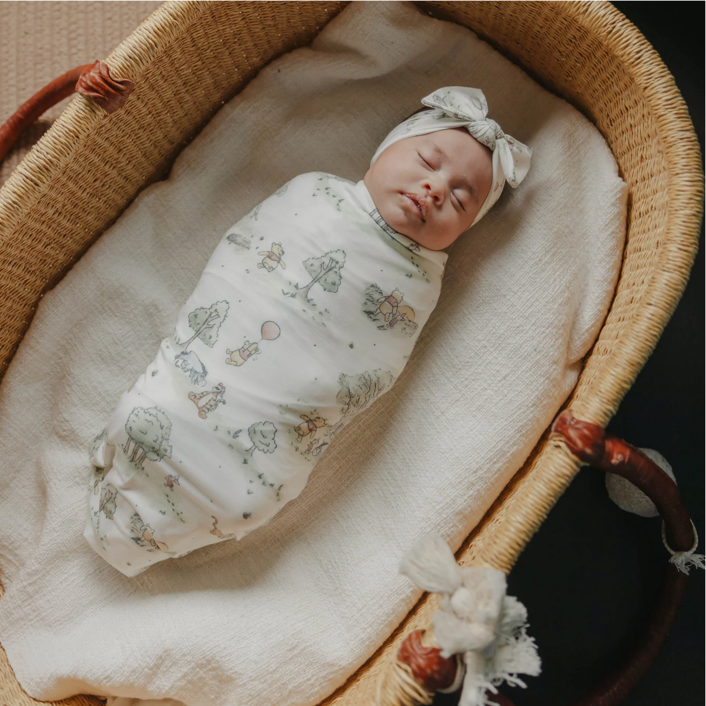 Hundred Acre Wood Single Knit Blanket