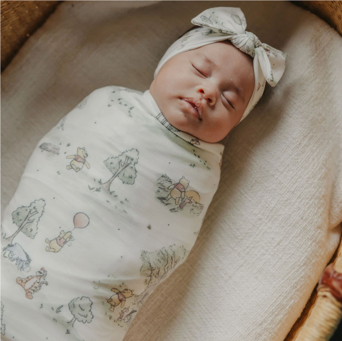 Hundred Acre Wood Single Knit Blanket