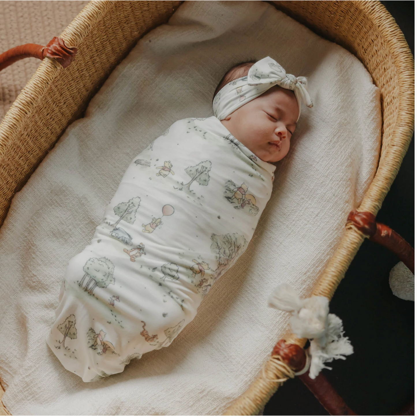 Hundred Acre Wood Single Knit Blanket