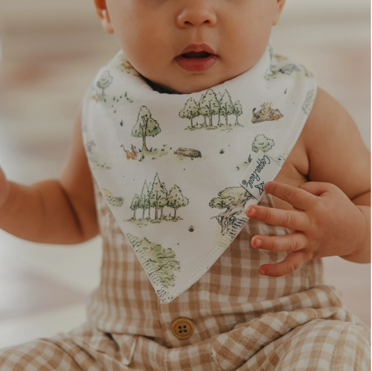 Hundred Acre Wood Bandana Bib Set