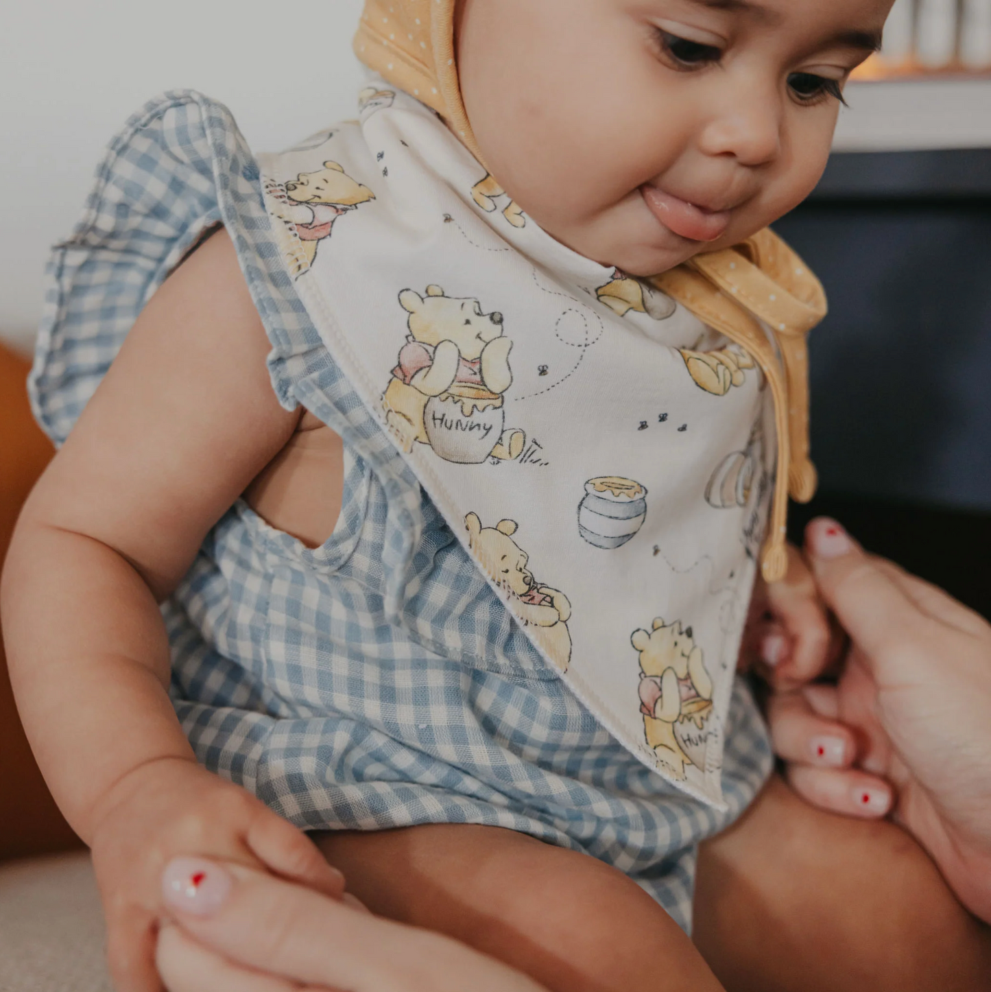 Hundred Acre Wood Bandana Bib Set