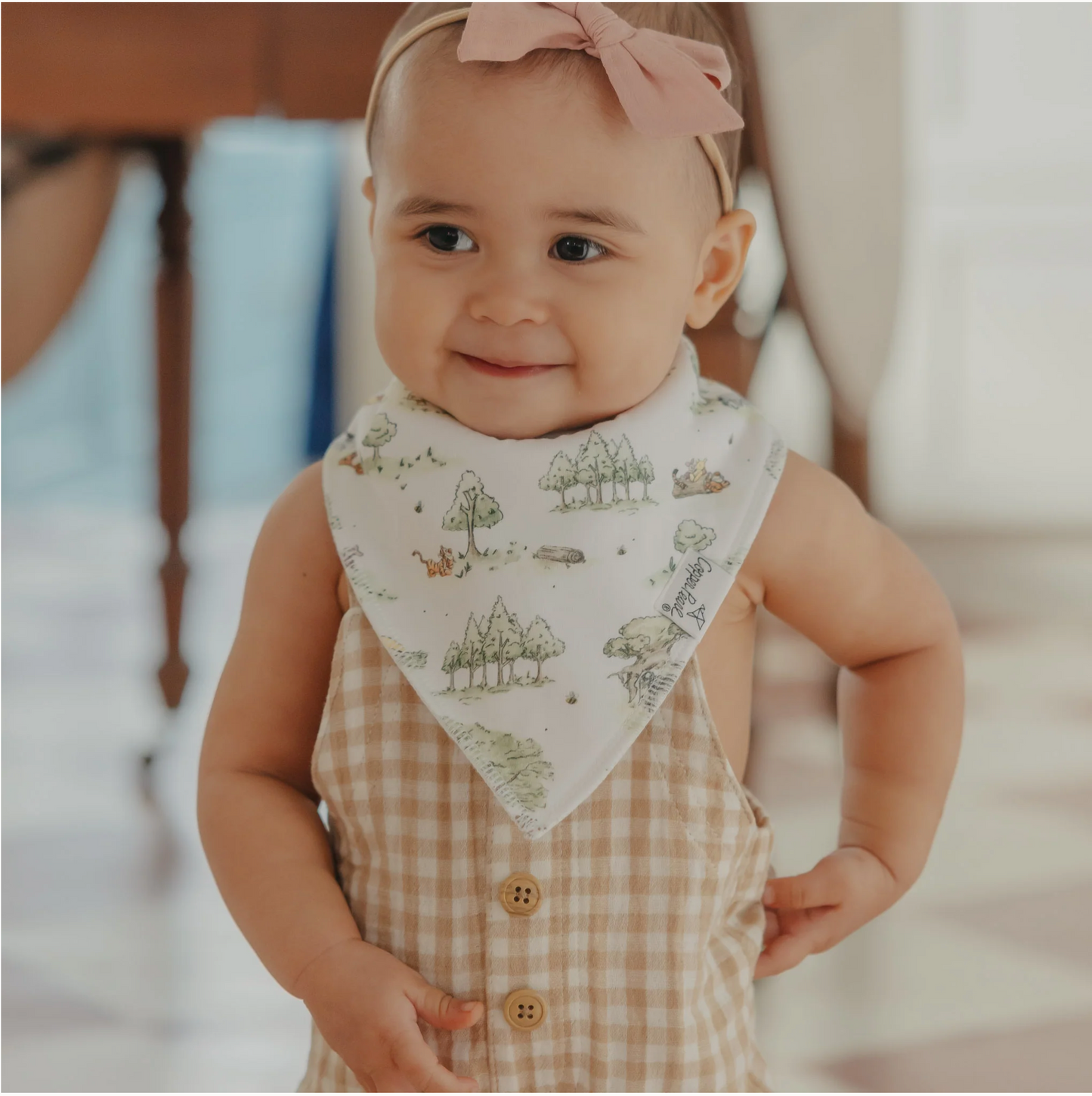Hundred Acre Wood Bandana Bib Set