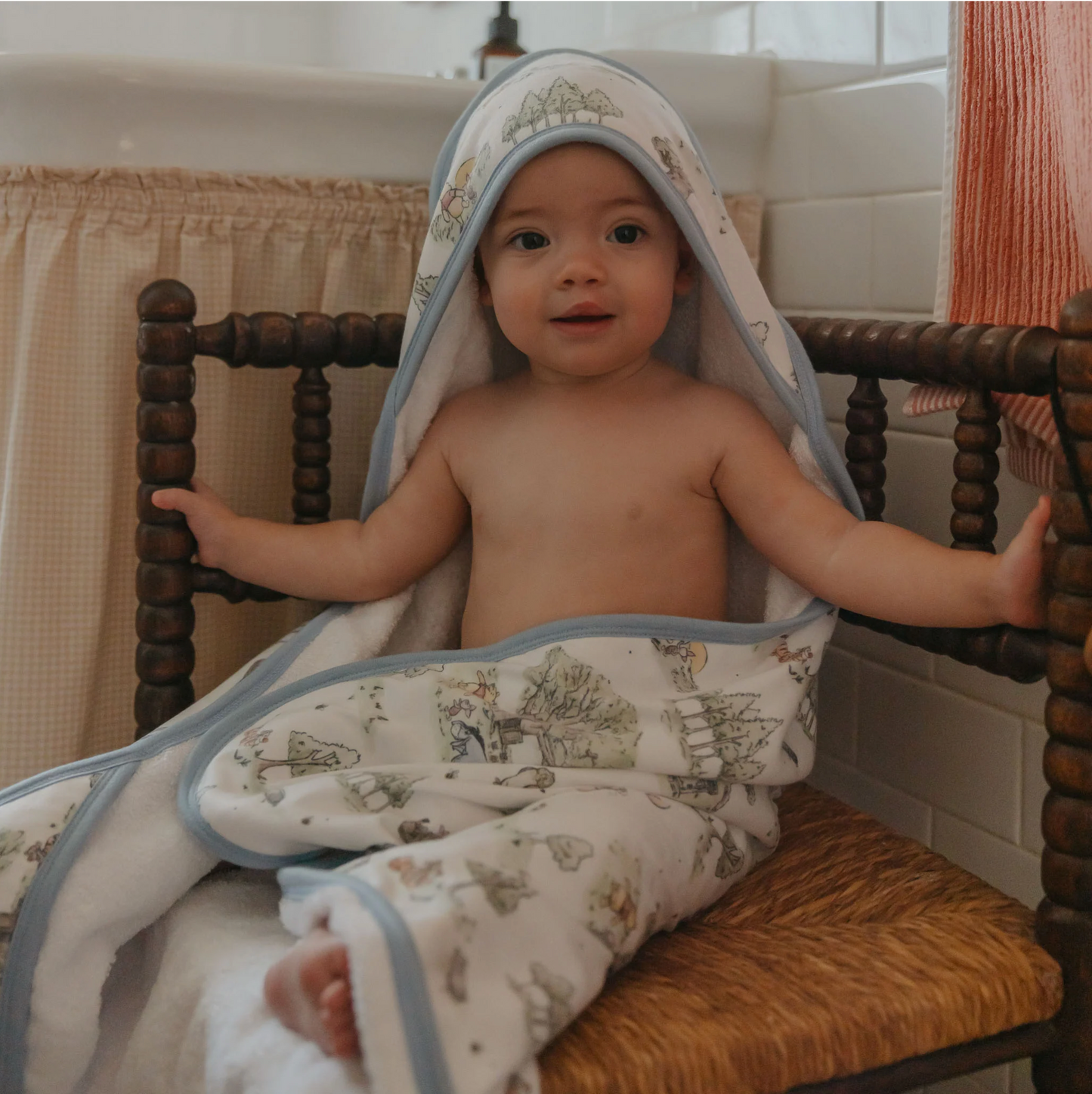 Hundred Acre Wood Hooded Towel