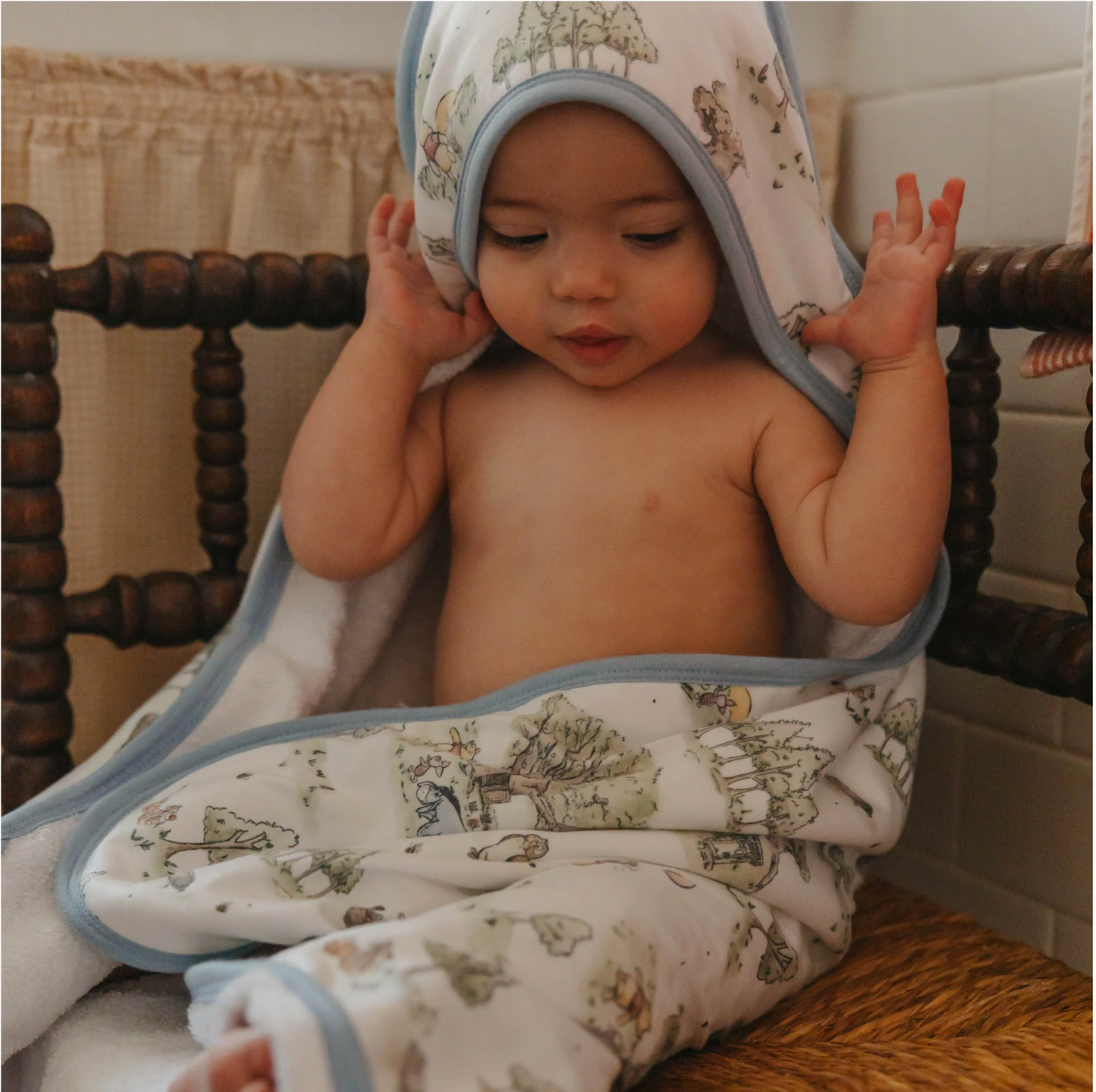 Hundred Acre Wood Hooded Towel