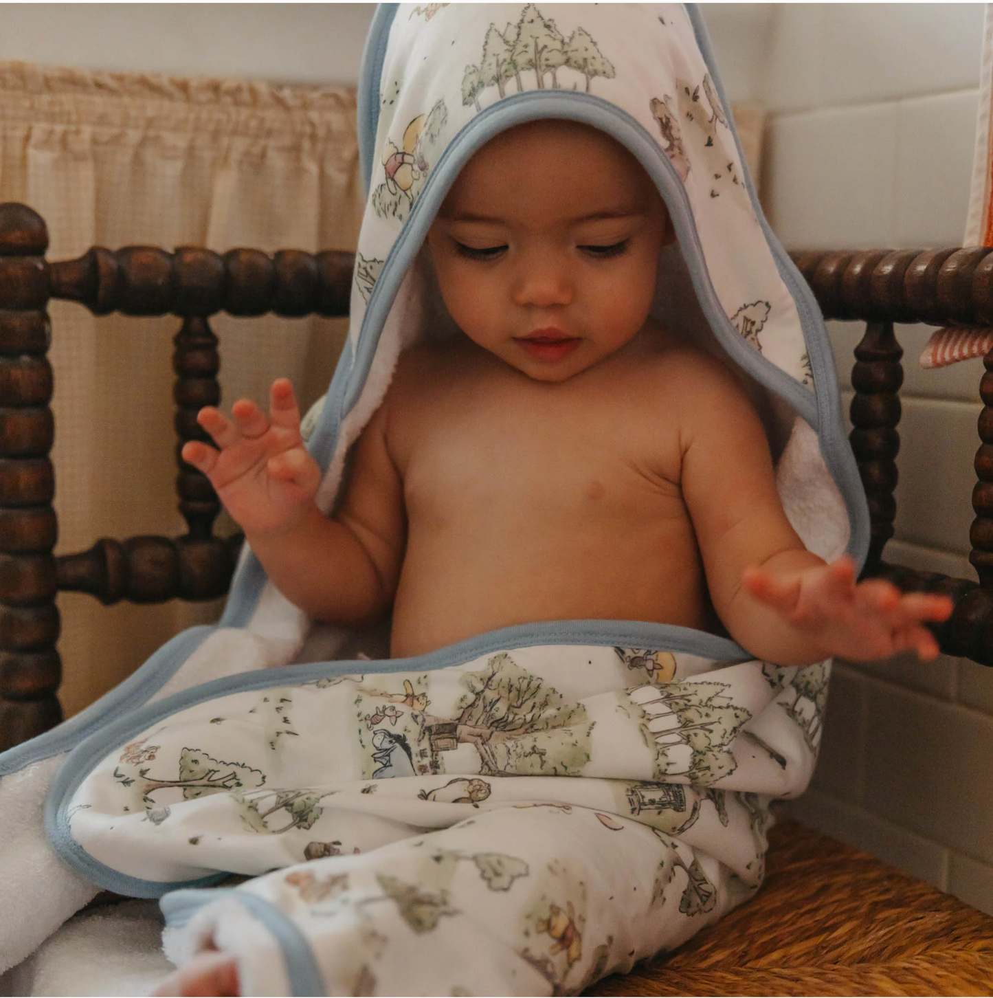 Hundred Acre Wood Hooded Towel