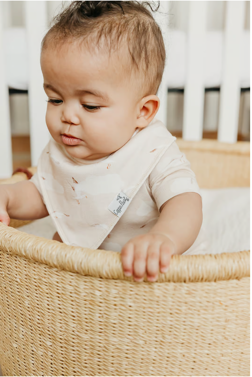 Fischer Bandana Bib Set